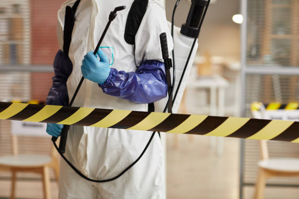Professional Sewage Cleanup technician working in Brightwaters, NY